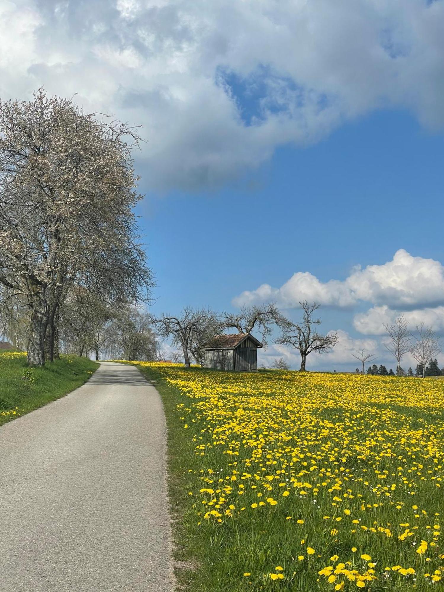 Hotel Krone Igelsberg Freudenstadt Kültér fotó